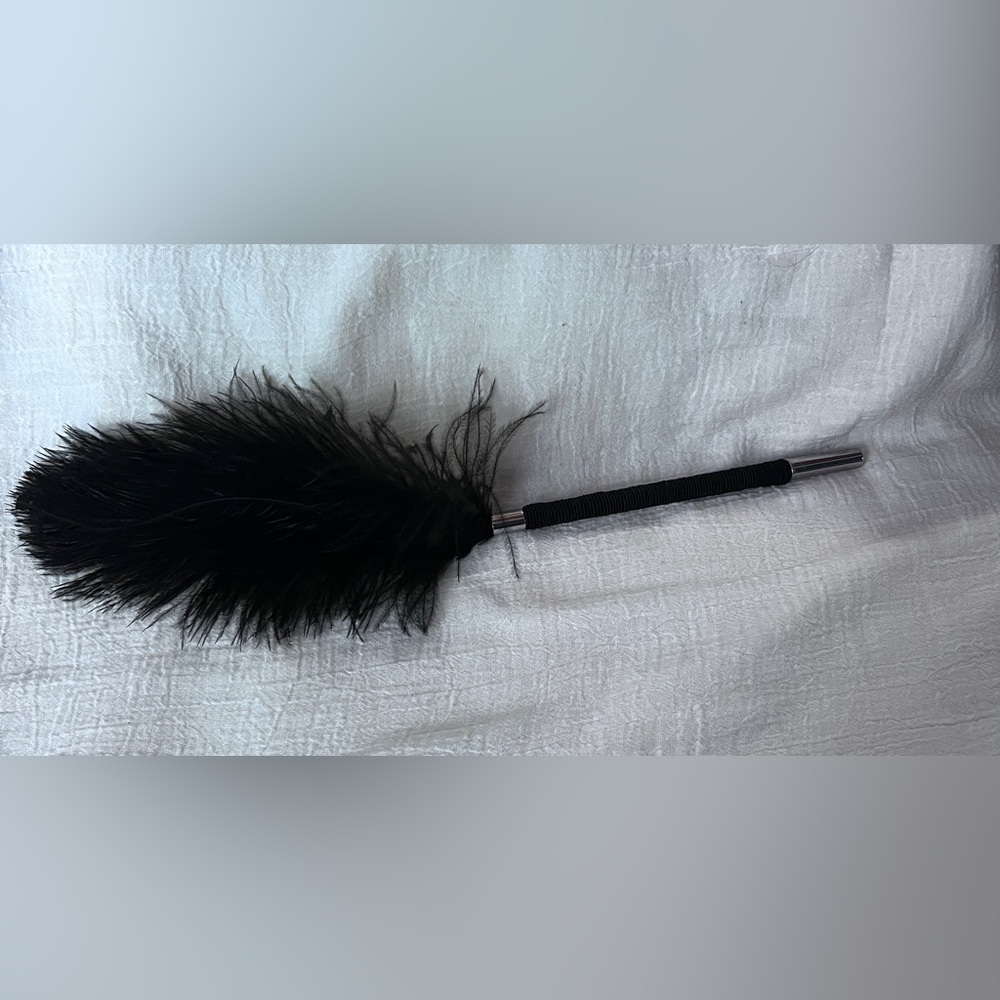 Adult Fun - Black Feather Duste/tickler.  New no box.